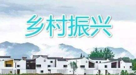 從兩會(huì)看中國經(jīng)濟(jì)：打好鄉(xiāng)村全面振興漂亮仗