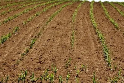 2022年度自然資源綜合統(tǒng)計(jì)數(shù)據(jù)首次對(duì)外發(fā)布