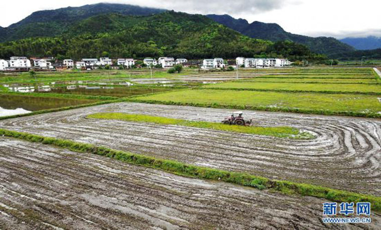 福建武夷山：產(chǎn)業(yè)依托 文旅賦能 促進鄉(xiāng)村振興