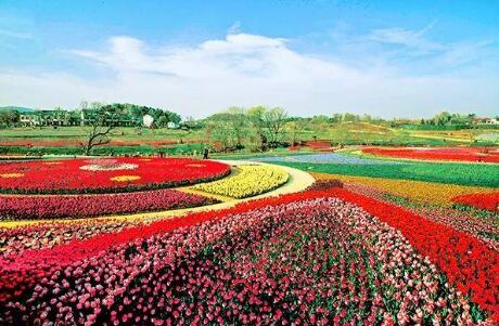 農(nóng)業(yè)農(nóng)村部發(fā)布60條春季精品線(xiàn)路、189個(gè)精品景點(diǎn)