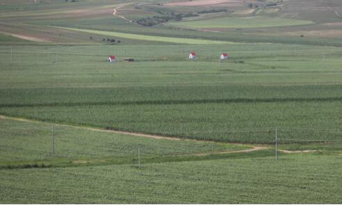 河南省財(cái)政籌措下達(dá)資金2.6億元 支持抗旱保秋助豐產(chǎn)