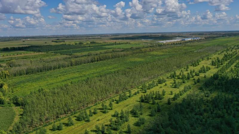 涉及所有城區(qū)、突出主題特色……鄭州將迎來綠道“2.0”版本！