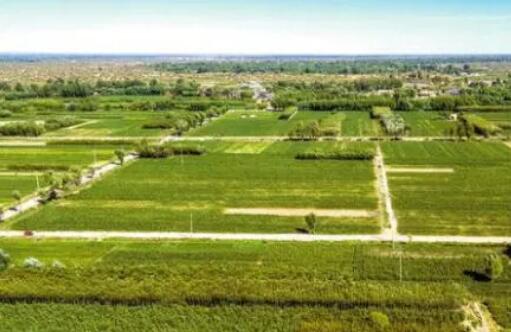 “十四五”時期我國將加快構建現(xiàn)代農(nóng)村產(chǎn)權制度