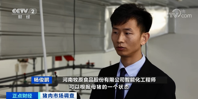 跌破15元！豬肉價(jià)格坐“滑梯”，創(chuàng)19個(gè)月新低！未來價(jià)格怎么走？