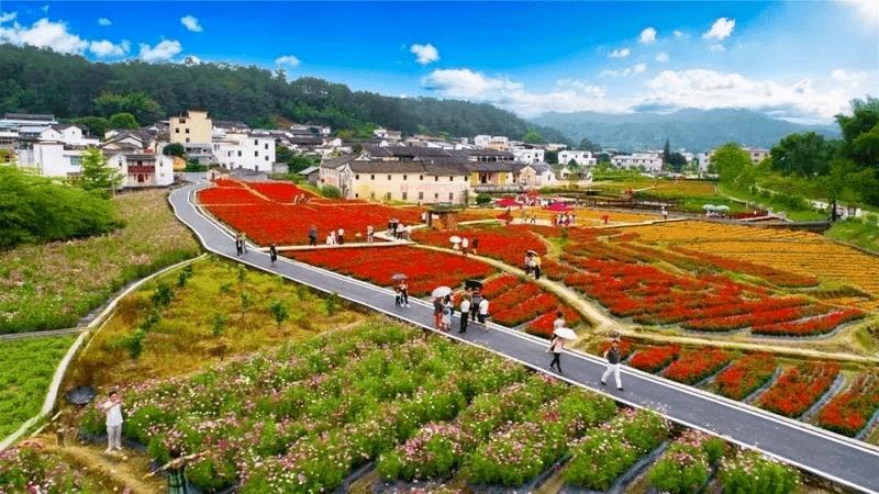 全面推進(jìn)鄉(xiāng)村振興 看財(cái)政如何“開源”“撬動(dòng)”