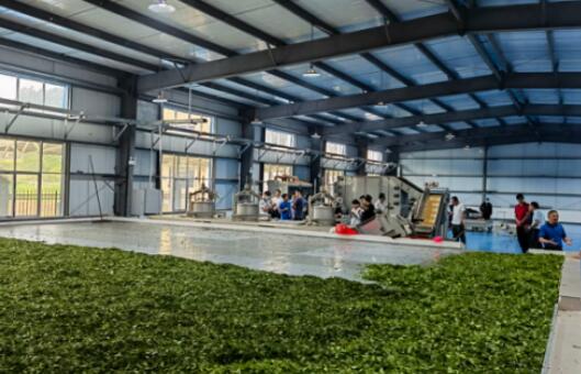 中國(guó)鐵塔：產(chǎn)業(yè)幫扶 讓大山深處有了富民產(chǎn)業(yè)