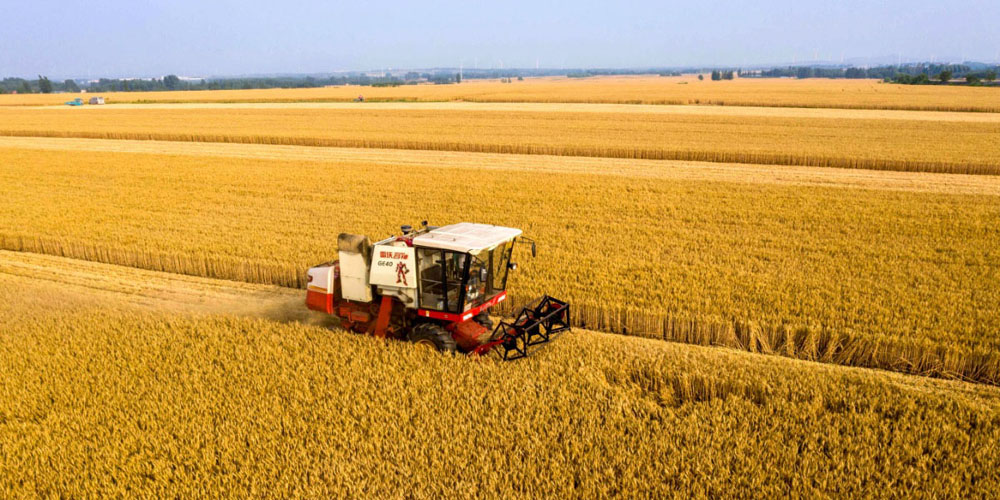 我國多維度夯實大國糧倉產(chǎn)能根基