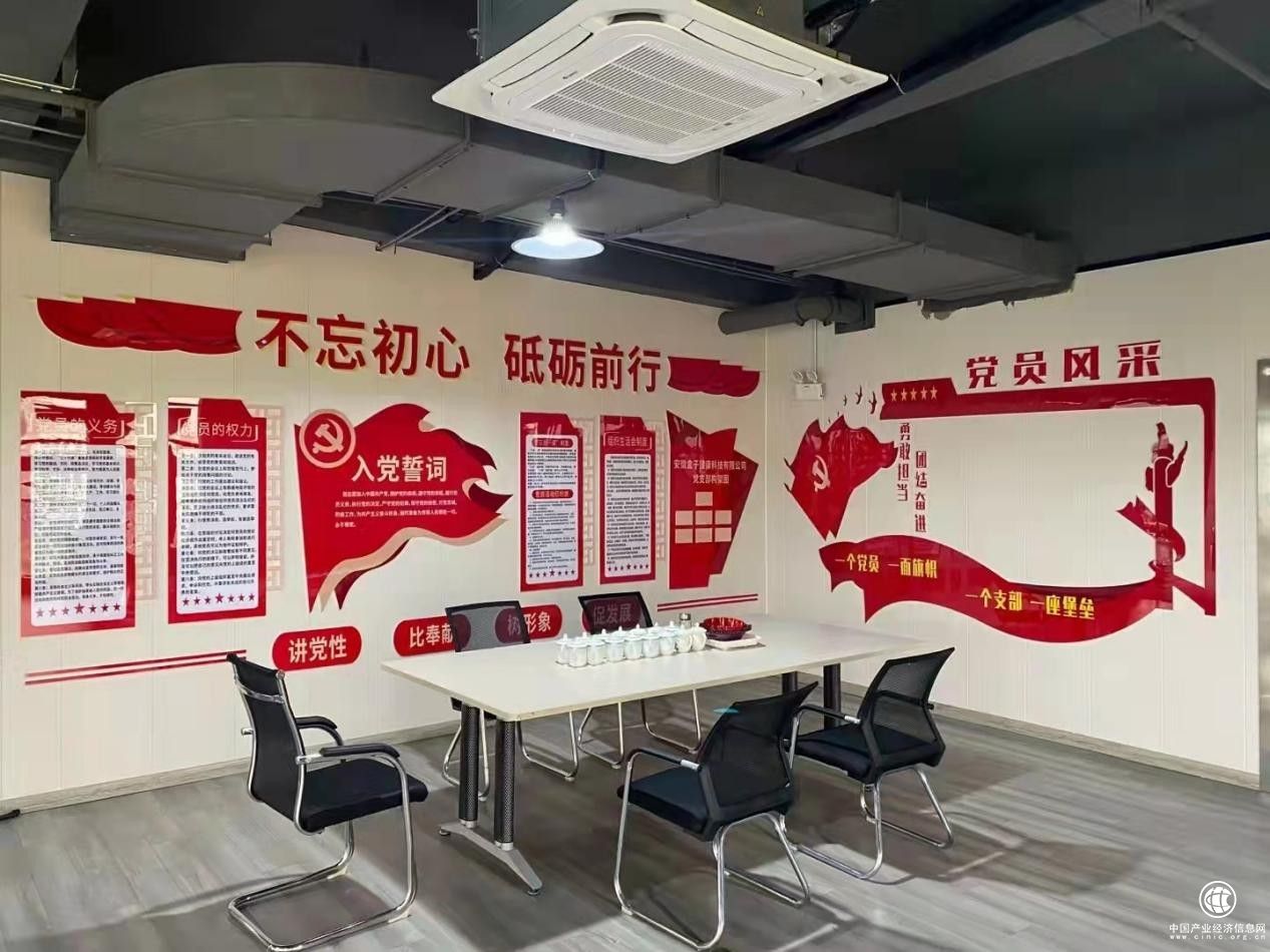 不忘初心，砥礪前行：安徽盒子健康科技有限公司黨支部正式成立