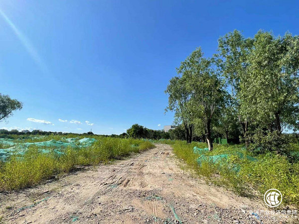 拆除后的七棵樹(shù)高爾夫球場(chǎng) 拆除后的七棵樹(shù)高爾夫球場(chǎng)