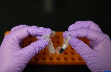 重大突破！我國(guó)科學(xué)家首次實(shí)現(xiàn)用二氧化碳人工合成淀粉