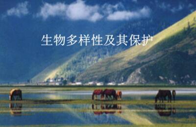 中國在生物多樣性保護國際合作中發(fā)揮重要作用