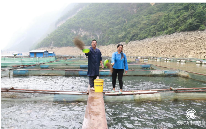 中和農(nóng)信 ：扎根邊疆助振興，普惠金融促共富