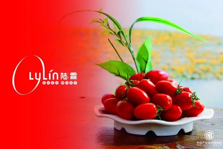 陸霖數(shù)字科技：一顆小番茄，品味大不同