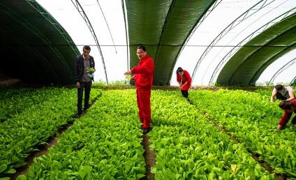 幫扶資金超2億元 援建項(xiàng)目450余個(gè) 中國(guó)石油多措并舉因地制宜推進(jìn)鄉(xiāng)村振興