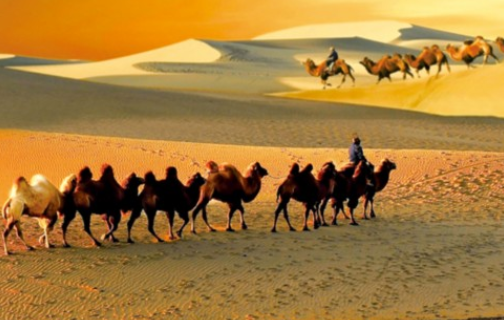 世界文化遺產(chǎn)申報(bào)與管理：向世界闡釋、傳播、展示亞洲文明之美