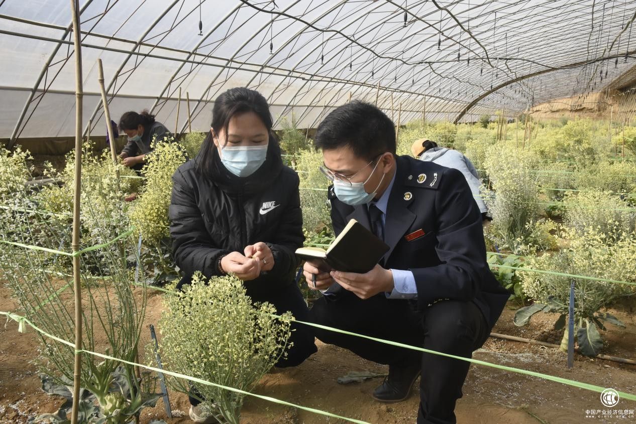 邢臺(tái)任澤區(qū)稅務(wù)局精細(xì)服務(wù)助力京津冀協(xié)同發(fā)展