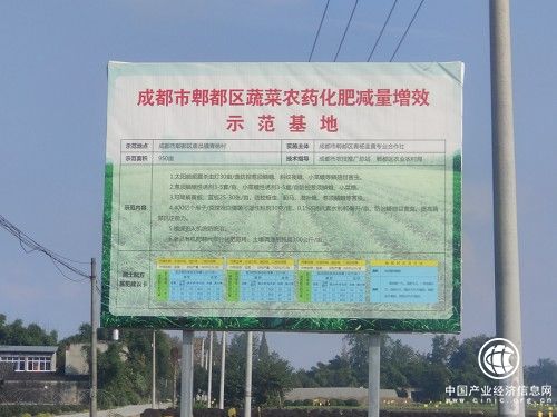 青楊韭黃：發(fā)展生態(tài)品牌農(nóng)業(yè)，激發(fā)鄉(xiāng)村振興內(nèi)在動力