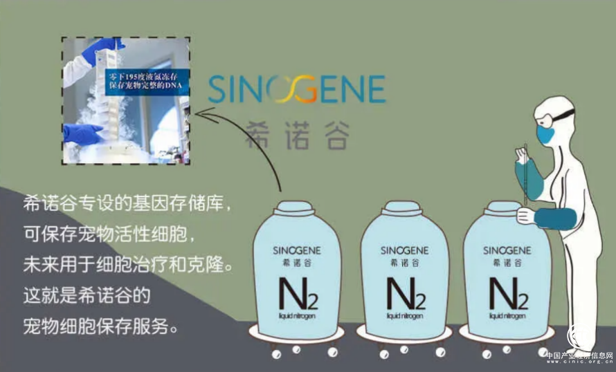 希諾谷：放棄的一個(gè)生命原因，答案好笑到殘忍
