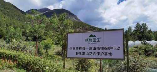  打造“品牌+公益”模式 植物醫(yī)生用行動(dòng)助力生物多樣性保護(hù)