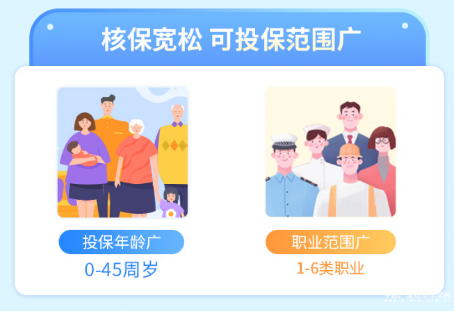  利多多增額終身壽險以實力廣受好評，滿足多樣化保險需求