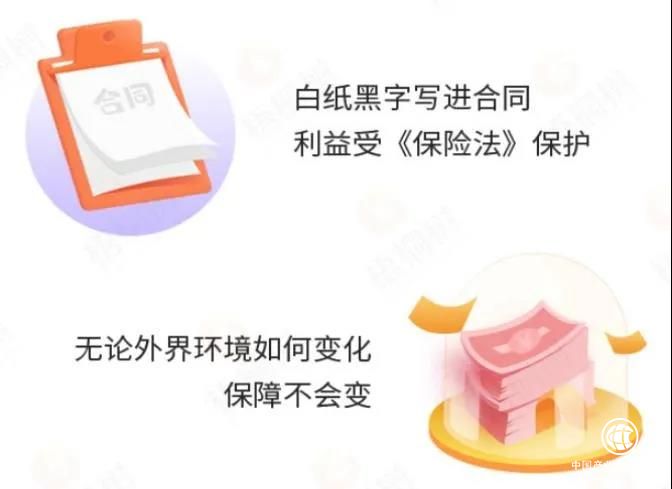  利多多增額終身壽險，見證網(wǎng)紅產(chǎn)品的迭代與創(chuàng)新