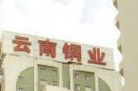 云南銅業(yè)“七個(gè)一”助推鄉(xiāng)村振興落地見效