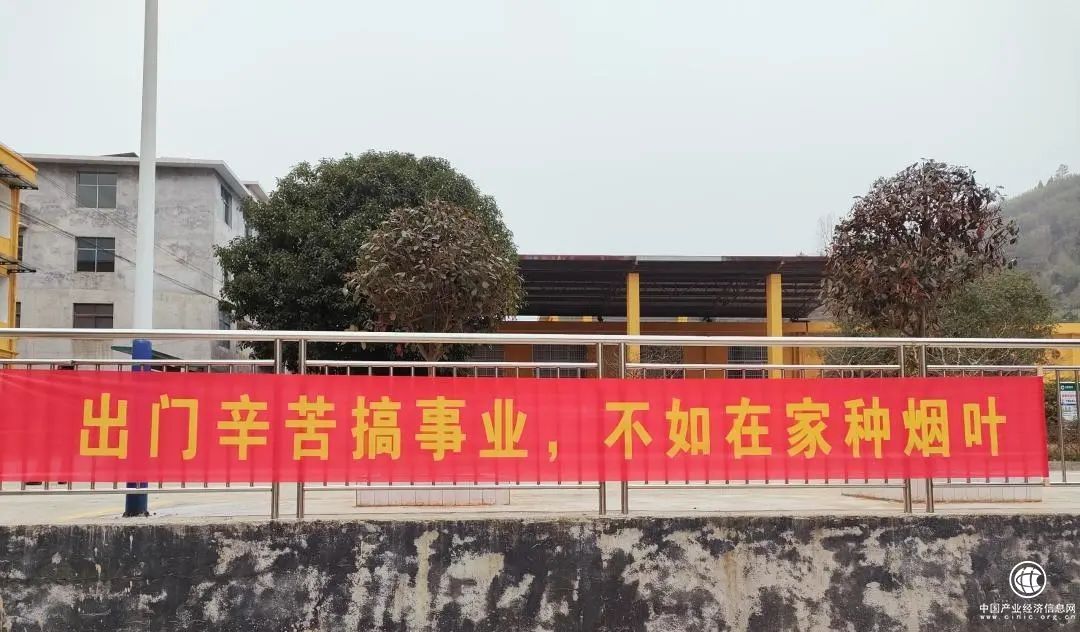  湖南邵陽煙草開展“迎老鄉(xiāng)回故鄉(xiāng)建家鄉(xiāng)”煙葉產(chǎn)業(yè)發(fā)展懇談會