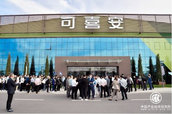 電話拜年成主流，可喜安提醒大家春節(jié)期間減少人員流動