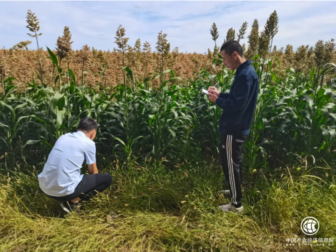 中華保險口碑好不好 因地制宜積極創(chuàng)新