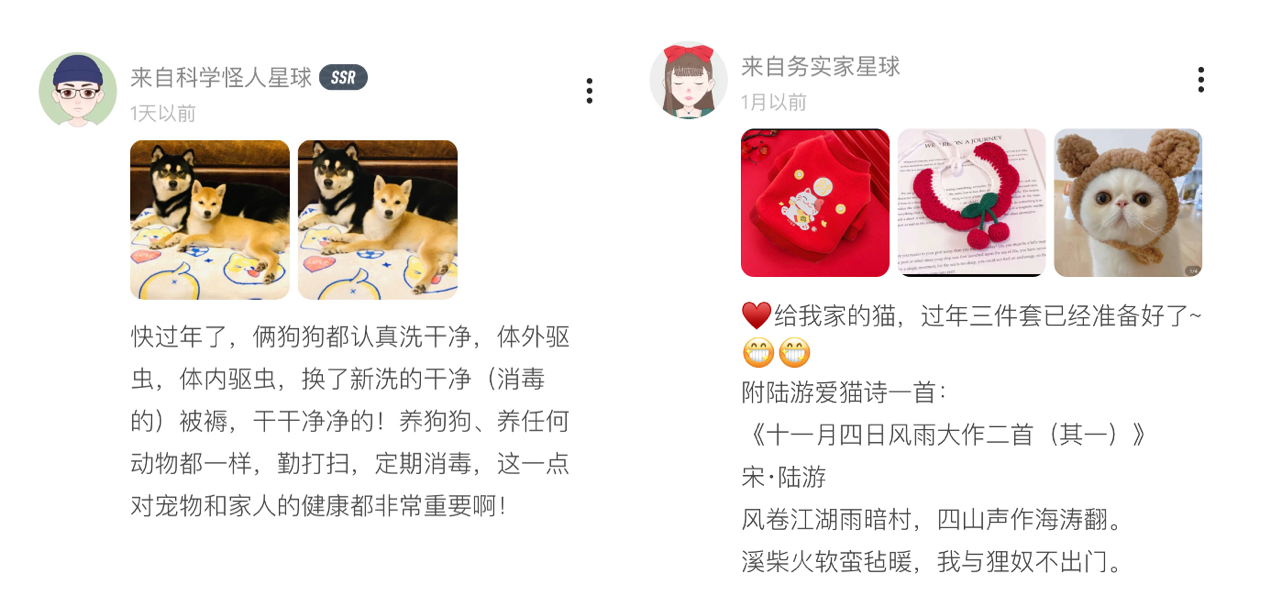 貓貓狗狗如何過(guò)大年？報(bào)告：超半數(shù)90后“鏟屎官”愿帶寵物一起回老家過(guò)年