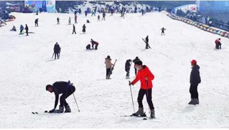 買大屏電視看賽事！冬奧會帶旺冰雪消費