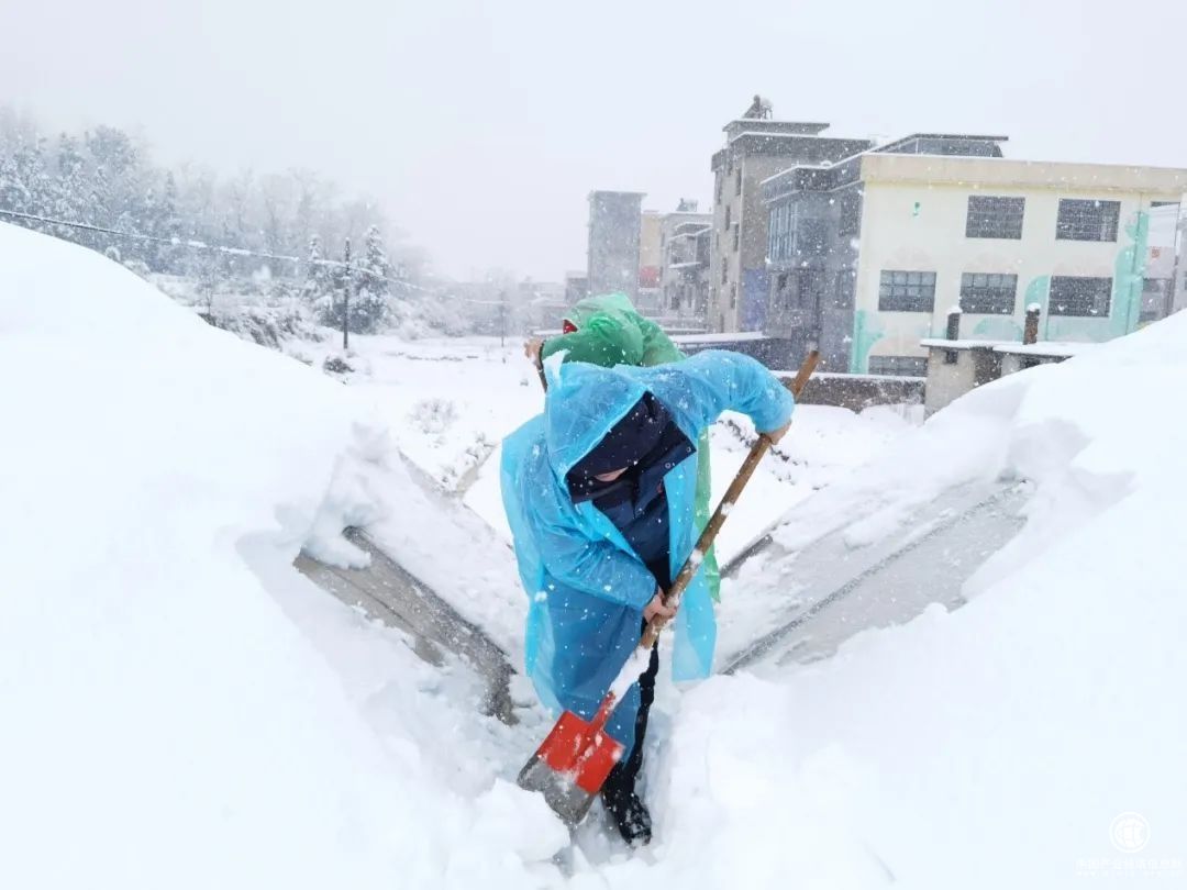  湖南邵陽隆回煙草：抗暴雪護煙苗 黨員突擊隊在行動