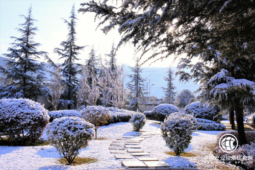 宣威復(fù)烤廠：執(zhí)“綠”為筆，繪就生態(tài)畫卷