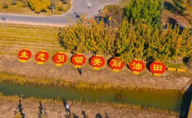 持續(xù)推動國土綠化 中國石油為美麗中國建設(shè)貢獻(xiàn)力量