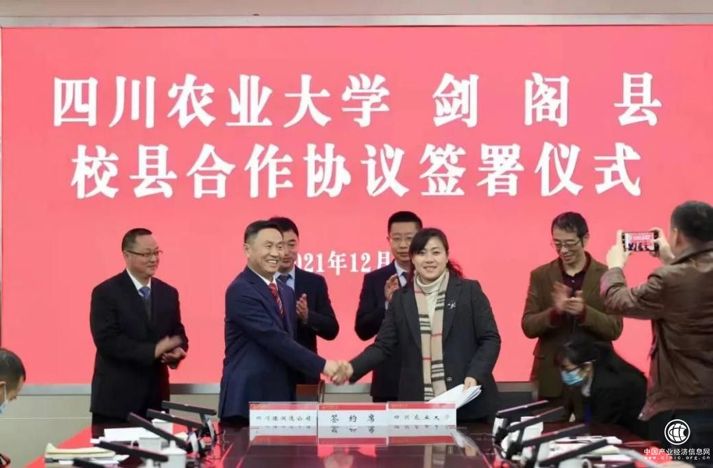  德潤通：攜手四川農(nóng)大，共創(chuàng)高質(zhì)量科技之路