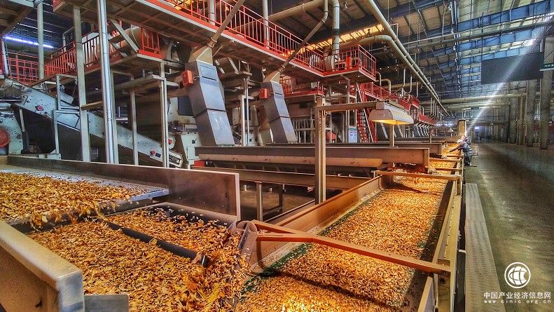  云南煙葉復(fù)烤有限責(zé)任公司楚雄復(fù)烤廠2021烤季生產(chǎn)任務(wù)圓滿(mǎn)完成