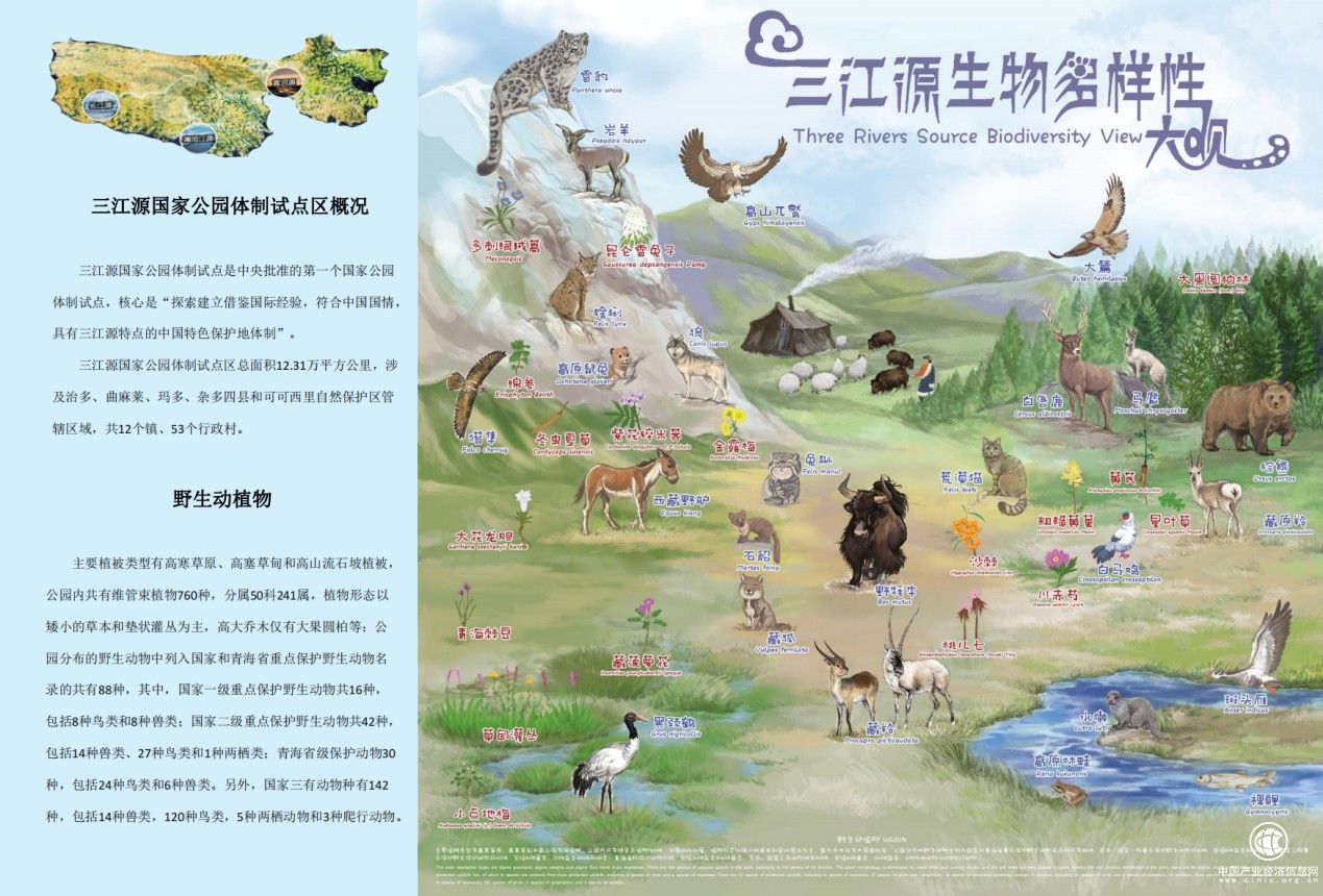  成實(shí)外繁懋教育多校公益聯(lián)動(dòng)，為可可西里建一所藏羚羊“幼兒園”