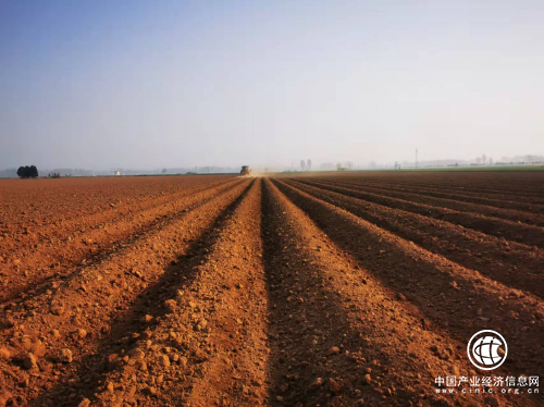 河南郟縣：慧農(nóng)機，精農(nóng)藝，萬千田疇染新綠