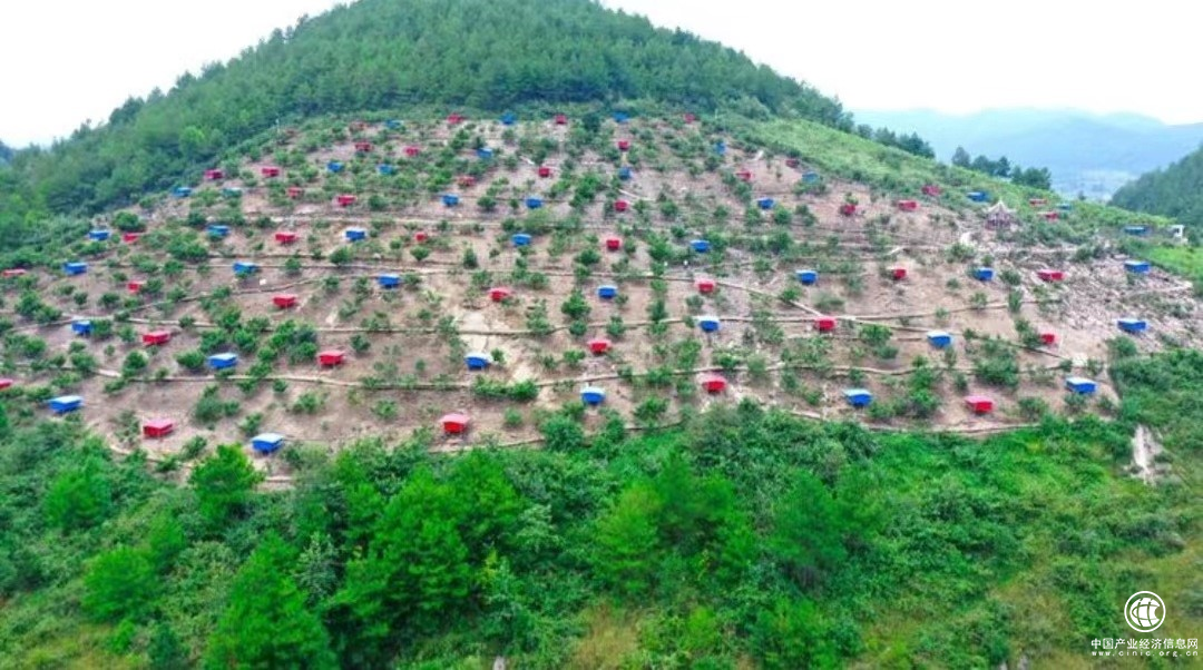  “山貨上頭條”打造區(qū)域農(nóng)產(chǎn)品品牌，長順綠殼雞蛋“出圈”熱銷全國