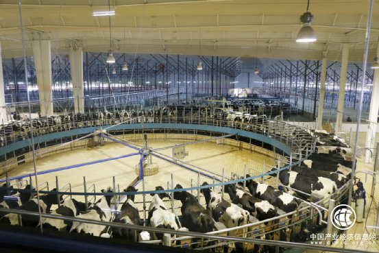  從領先到顛覆，君樂寶奶粉“三連發(fā)”背后的大布局