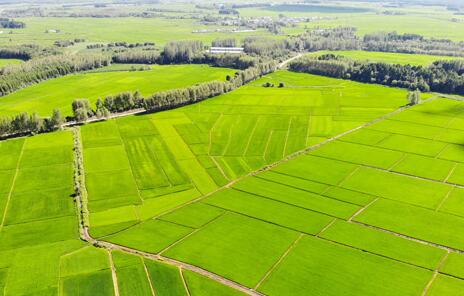 農(nóng)業(yè)農(nóng)村經(jīng)濟(jì)持續(xù)向好 助力穩(wěn)物價保民生