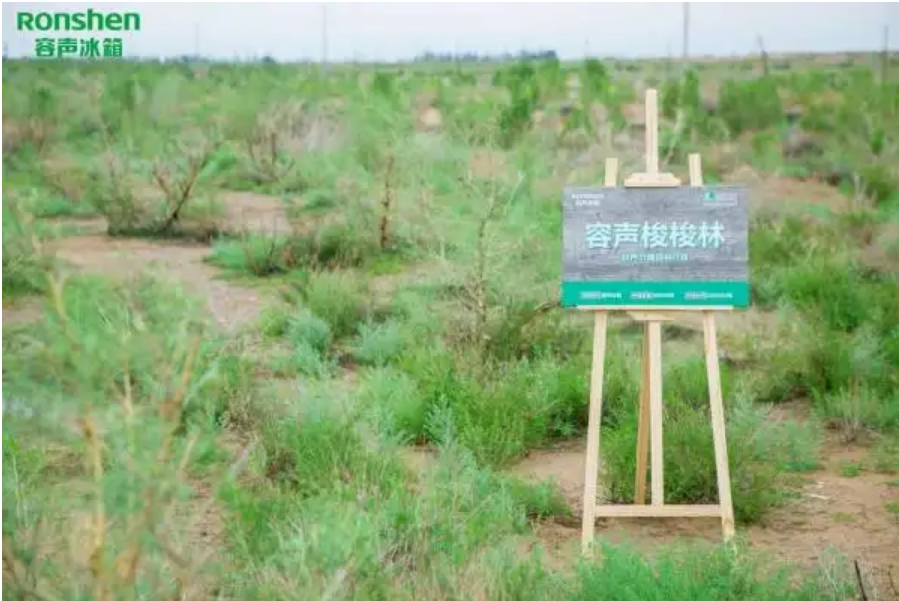容聲踐行“節(jié)能森林”計劃 共同守護(hù)沙漠天路