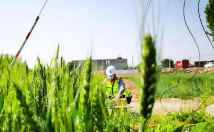 “萬畝良田”掌中握 中國電信數(shù)字助力鄉(xiāng)村建設