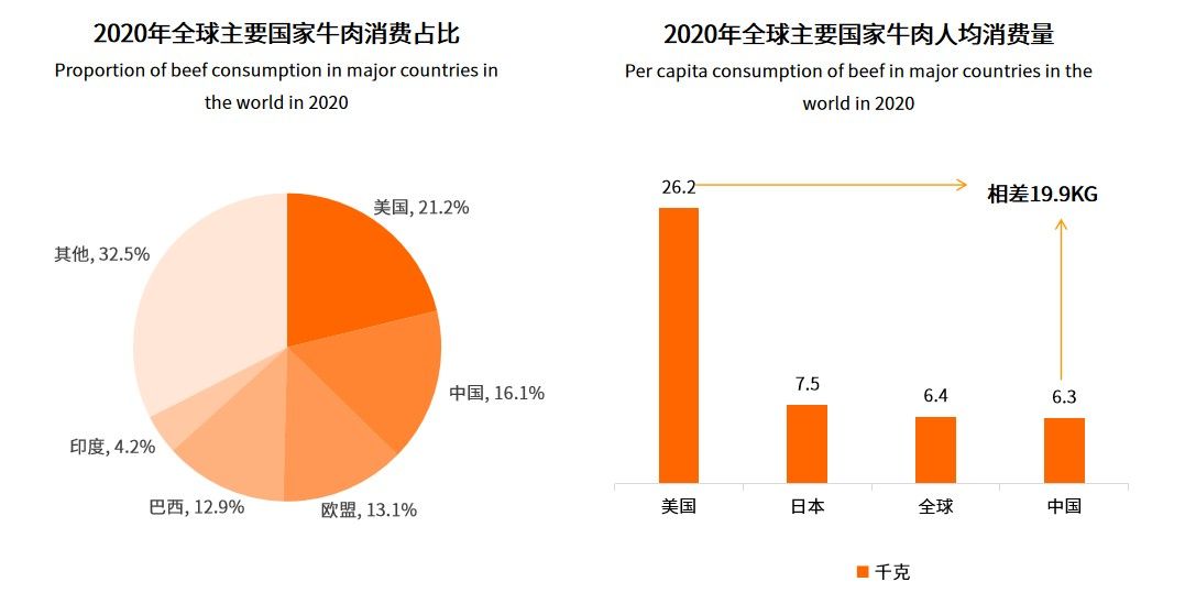 技術賦能預制菜高質量發(fā)展，牛肉類預制菜正悄然崛起