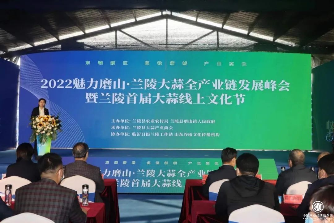蘭陵大蒜文化節(jié)展磨山魅力，聚焦蒼山大蒜產業(yè)發(fā)展成果