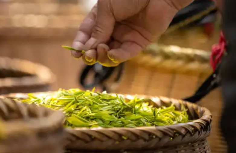 “中國傳統(tǒng)制茶技藝及其相關習俗”列入人類非遺代表作名錄