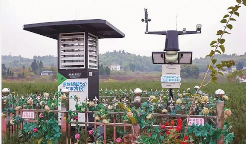 中國移動(dòng)：賦能數(shù)字鄉(xiāng)村建設(shè) 讓美麗鄉(xiāng)村煥發(fā)勃勃生機(jī)