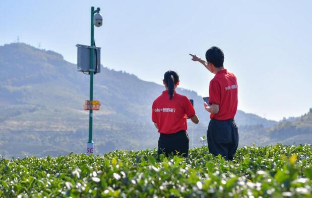 數(shù)字慧農(nóng) 智慧興村！中國(guó)聯(lián)通暢通福建信息動(dòng)脈 助力數(shù)字鄉(xiāng)村建設(shè)
