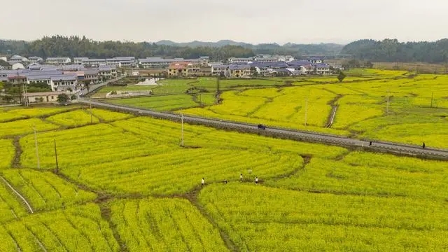 發(fā)出重農(nóng)強農(nóng)強烈信號！三個關鍵詞解讀2023年中央一號文件