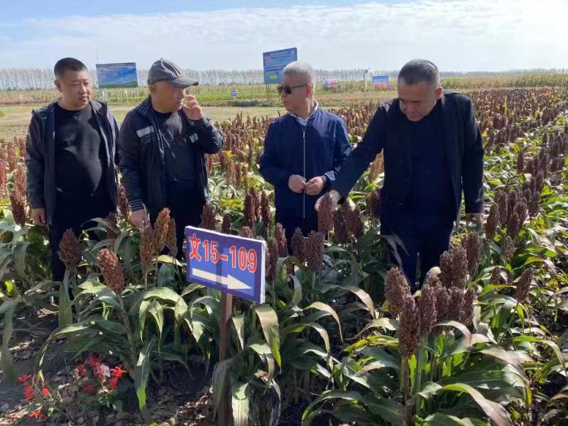 20230222200555258.jpg 20230222200555258.jpg